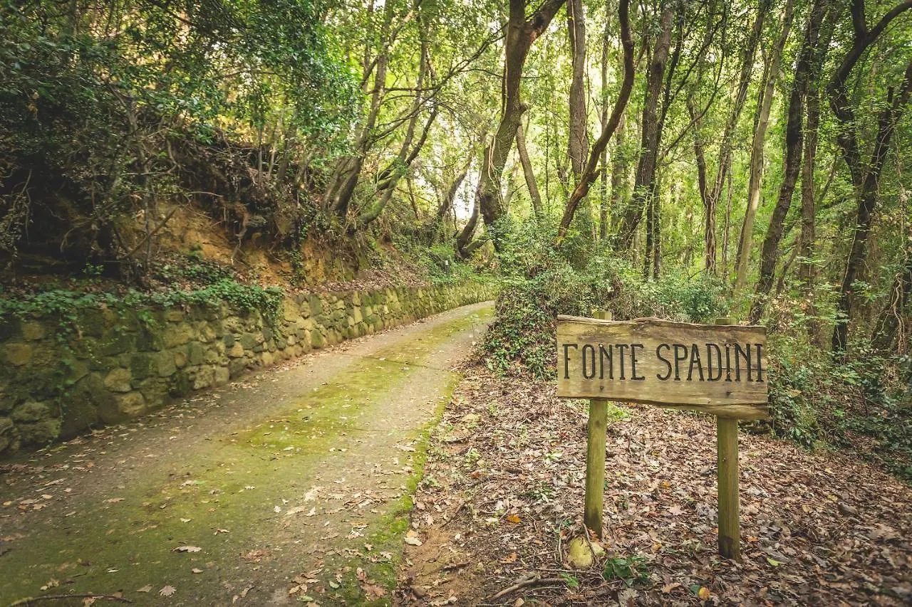 Tenuta Fontespadini Riparbella Italy