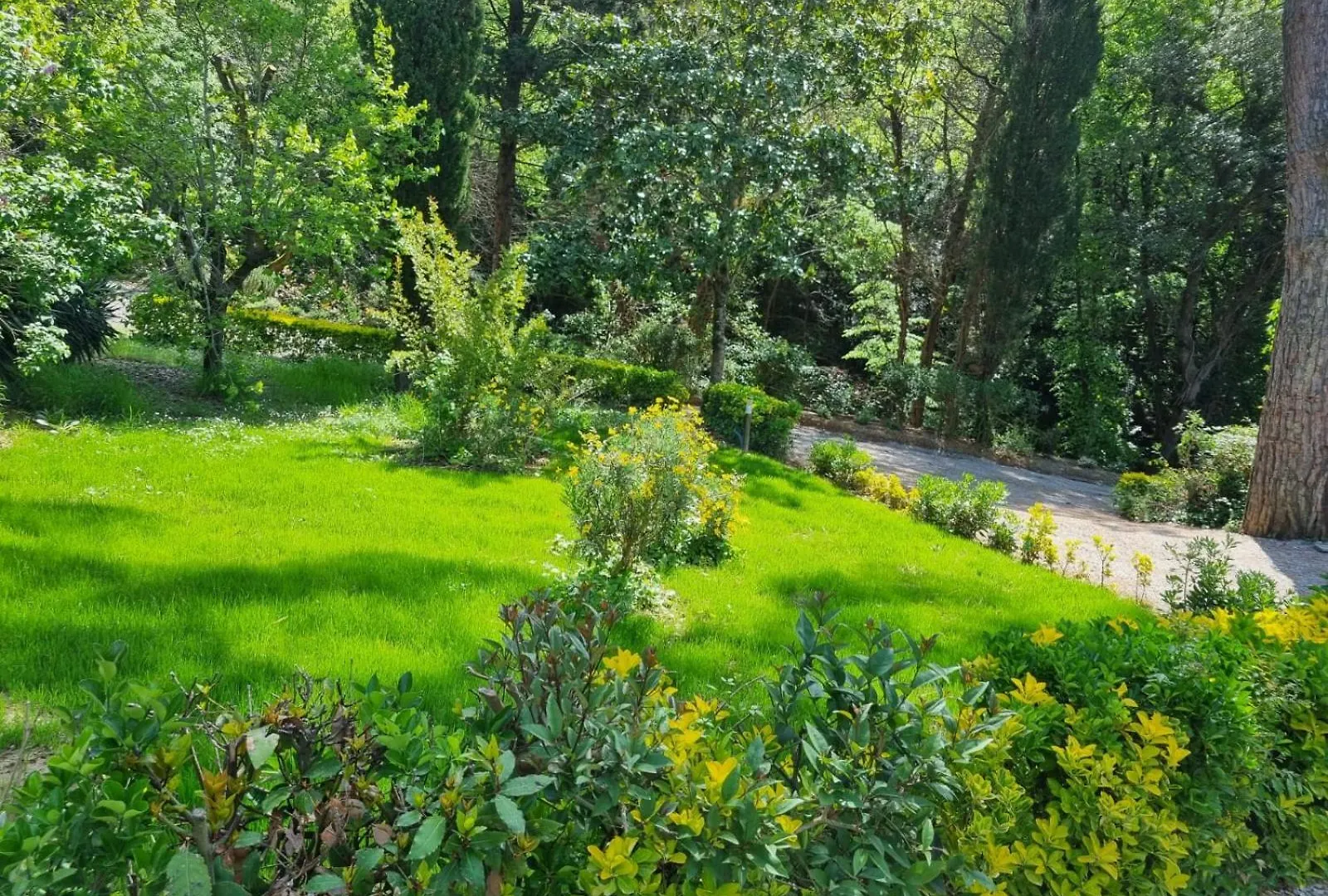 Tenuta Fontespadini Riparbella Holiday home