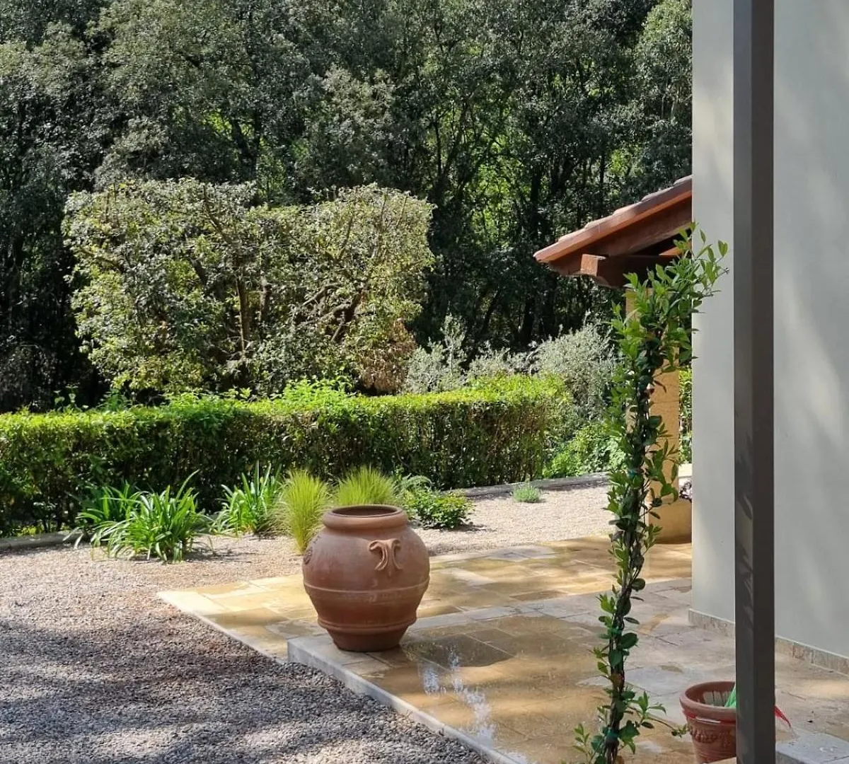 Tenuta Fontespadini Riparbella Holiday home