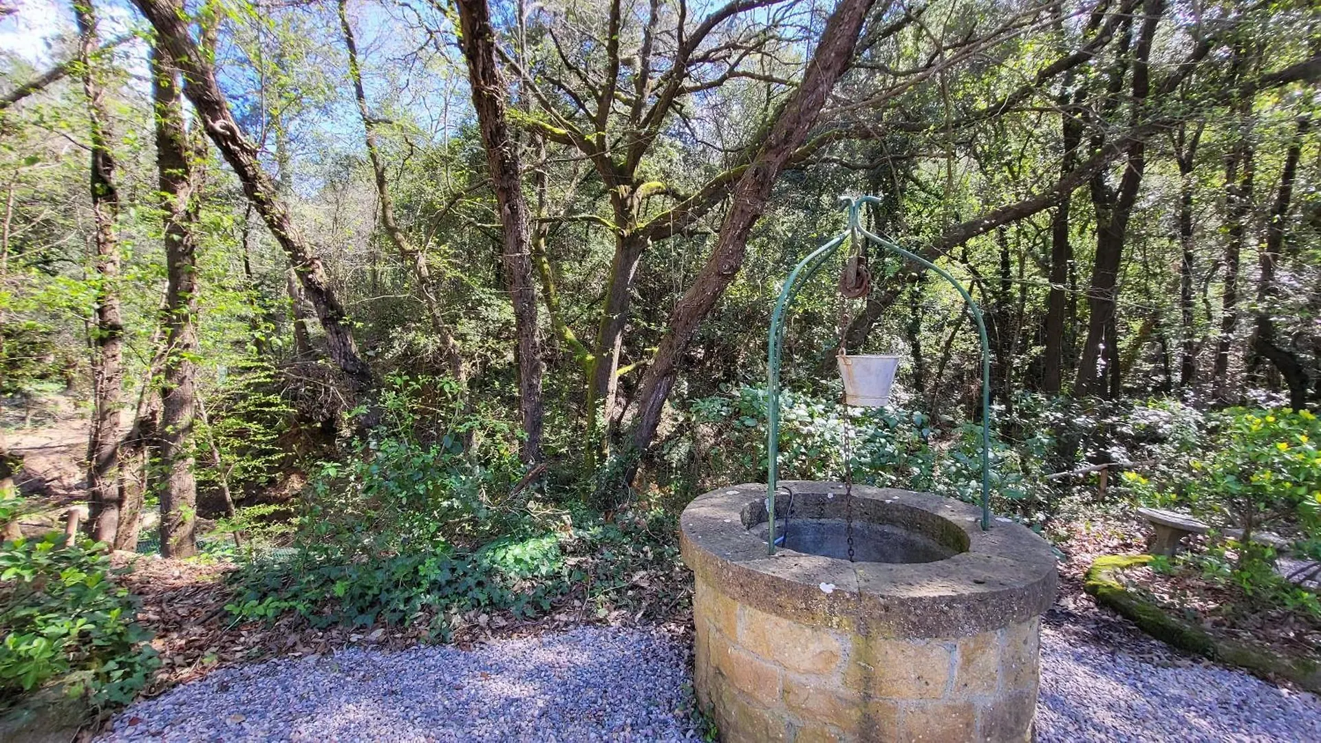 Tenuta Fontespadini Riparbella