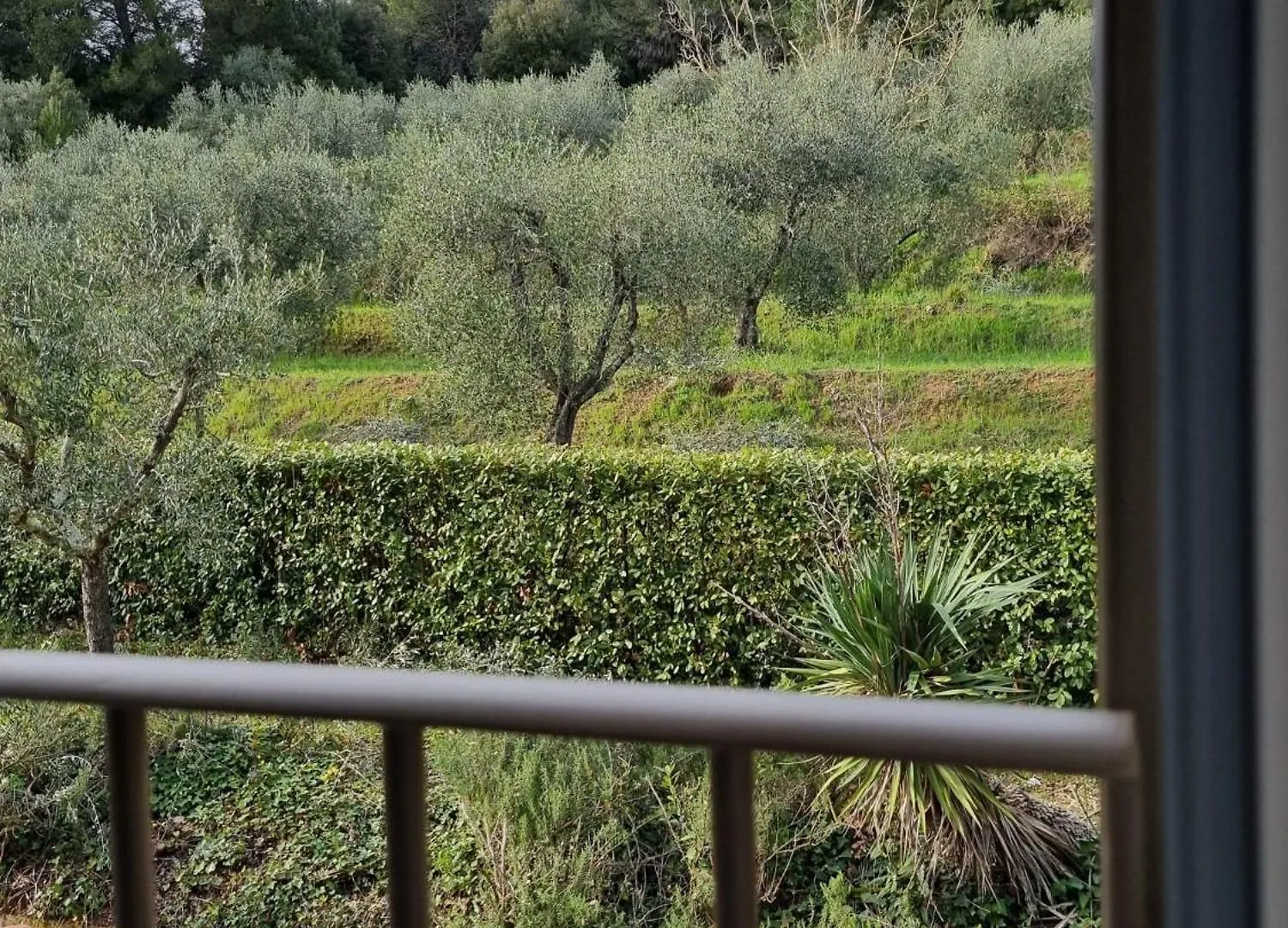 Holiday home Tenuta Fontespadini Riparbella